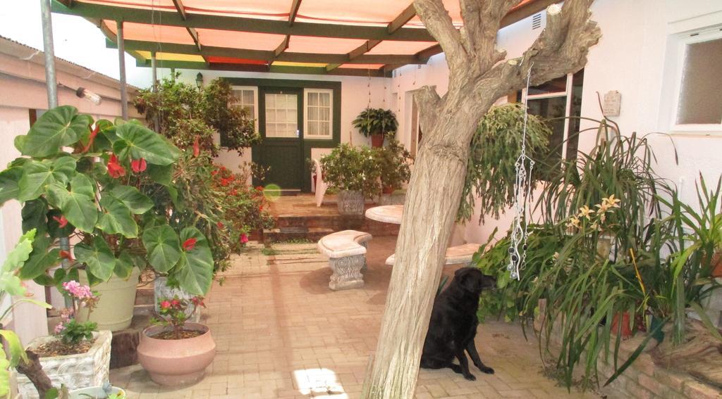 Van Rhyn Guest House Vanrhynsdorp Zewnętrze zdjęcie